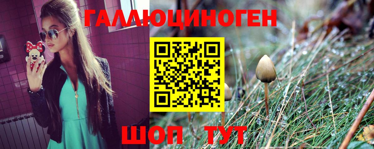 Галлюциногенные грибы ЛСД  Вход с VPN  Псилоцибиновые грибы GOLDEN TEACHER  Карасук 